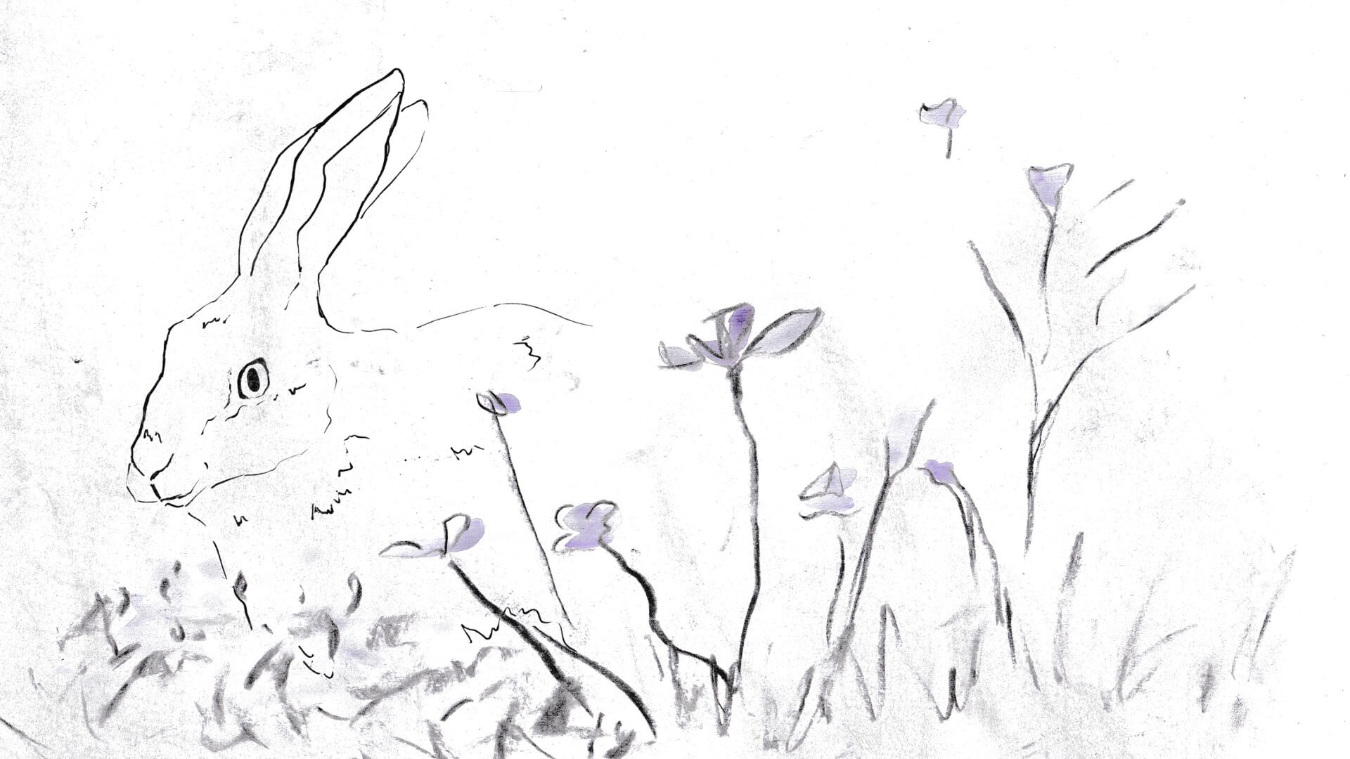 STROKES OF WILDFLOWERS